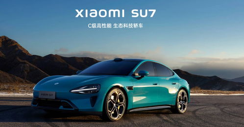 avah多少钱汽车